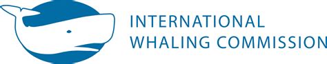 international whaling commission iwc|which countries still hunt whales.